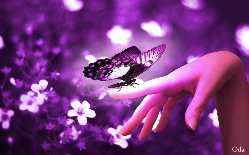 3D-HD-Wallpapers-Backgrounds (Colors)ภาพพื้นหลัง พักหน้าจอ No.8