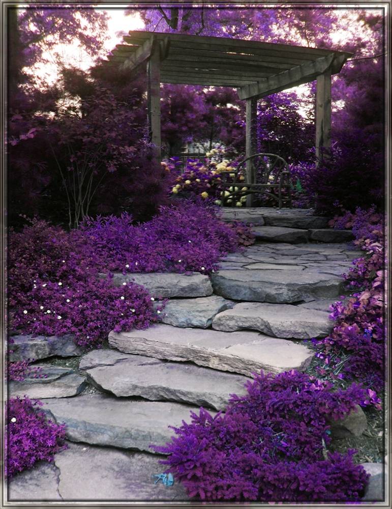 3D-HD-Wallpapers-Backgrounds (Colors)ภาพพื้นหลัง พักหน้าจอ No.8