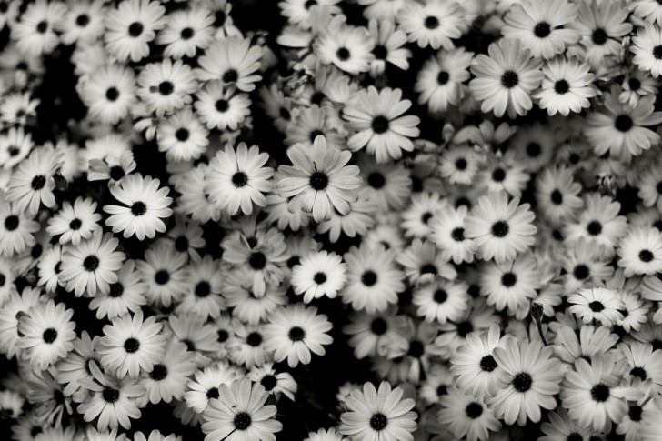 3D-HD-Wallpapers-Backgrounds (Colors)ภาพพื้นหลัง พักหน้าจอ No.9