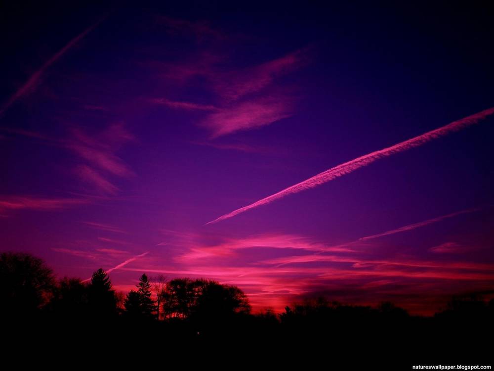 3D-HD-Wallpapers-Backgrounds (Colors)ภาพพื้นหลัง พักหน้าจอ No.9
