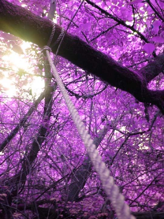 3D-HD-Wallpapers-Backgrounds (Colors)ภาพพื้นหลัง พักหน้าจอ No.9