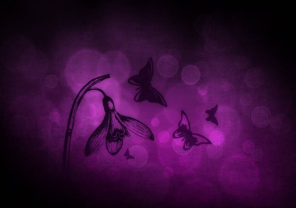 3D-HD-Wallpapers-Backgrounds (Colors)ภาพพื้นหลัง พักหน้าจอ No.9