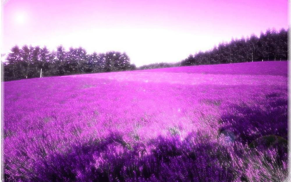 3D-HD-Wallpapers-Backgrounds (Colors)ภาพพื้นหลัง พักหน้าจอ No.9