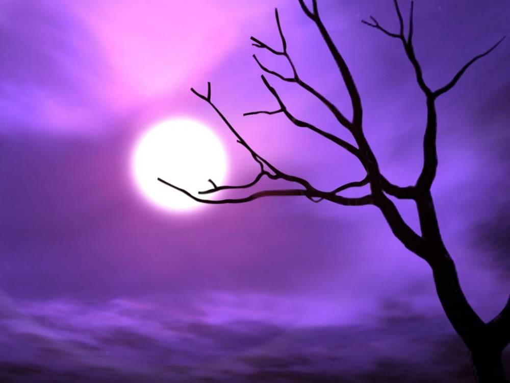3D-HD-Wallpapers-Backgrounds (Colors)ภาพพื้นหลัง พักหน้าจอ No.10