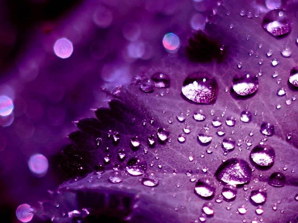 3D-HD-Wallpapers-Backgrounds (Colors)ภาพพื้นหลัง พักหน้าจอ No.10