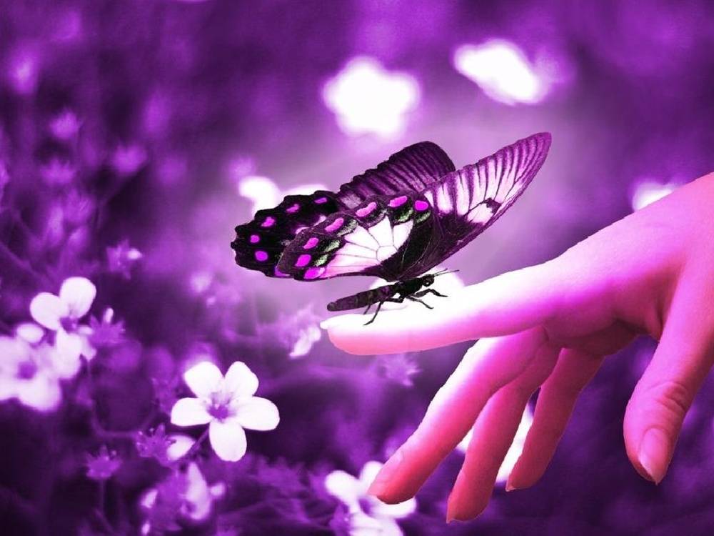 3D-HD-Wallpapers-Backgrounds (Colors)ภาพพื้นหลัง พักหน้าจอ No.10