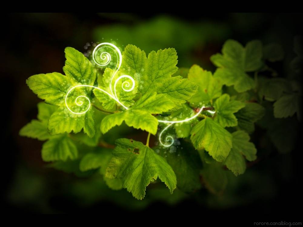 3D-HD-Wallpapers-Backgrounds (Colors)ภาพพื้นหลัง พักหน้าจอ No.11