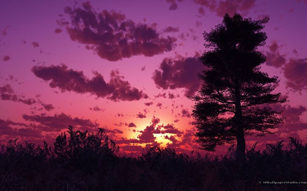 3D-HD-Wallpapers-Backgrounds (Colors)ภาพพื้นหลัง พักหน้าจอ No.11