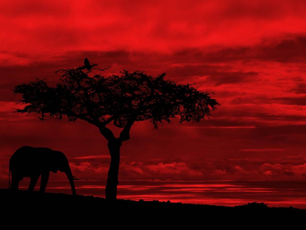 3D-HD-Wallpapers-Backgrounds (Colors)ภาพพื้นหลัง พักหน้าจอ No.11