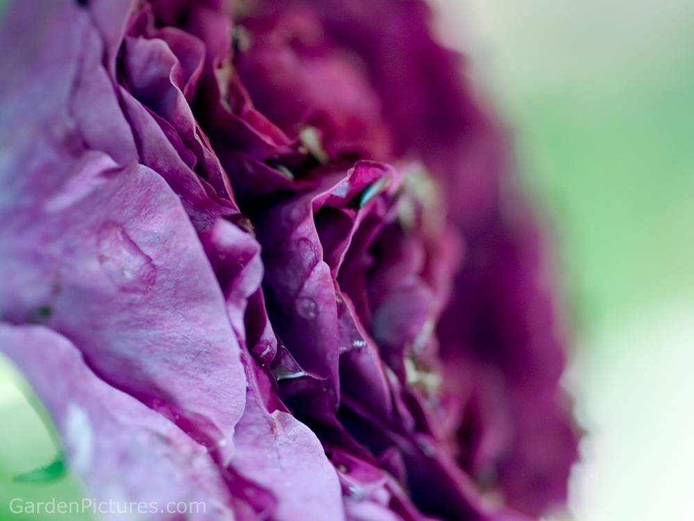 3D-HD-Wallpapers-Backgrounds (Colors)ภาพพื้นหลัง พักหน้าจอ No.11