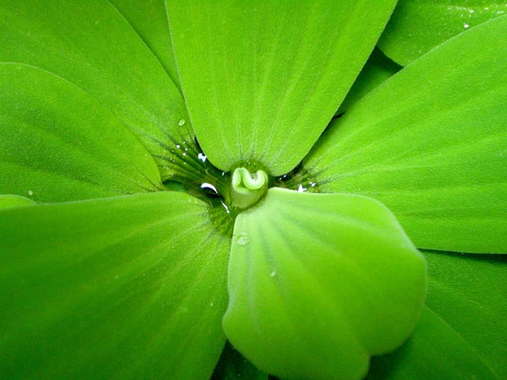 3D-HD-Wallpapers-Backgrounds (Colors)ภาพพื้นหลัง พักหน้าจอ No.11