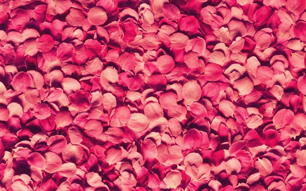 3D-HD-Wallpapers-Backgrounds (Colors)ภาพพื้นหลัง พักหน้าจอ No.13