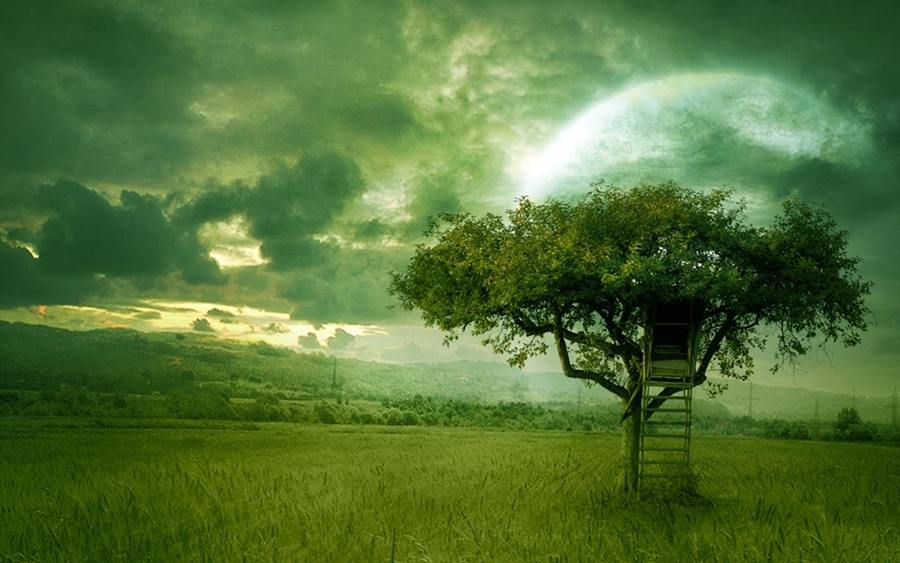 3D-HD-Wallpapers-Backgrounds (Colors)ภาพพื้นหลัง พักหน้าจอ No.13