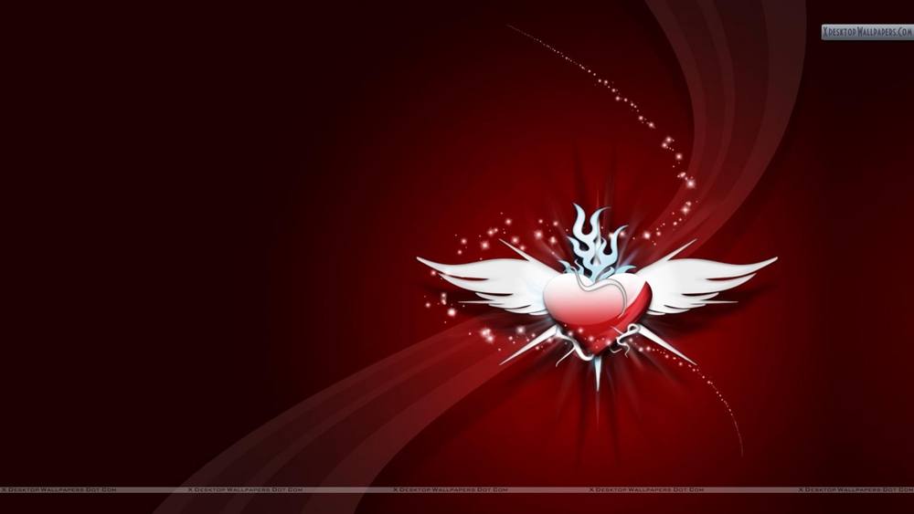 3D-HD-Wallpapers-Backgrounds (Colors)ภาพพื้นหลัง พักหน้าจอ No.13