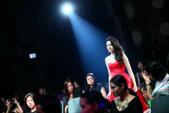 ใหม่ ดาวิกา โฮร์เน่
