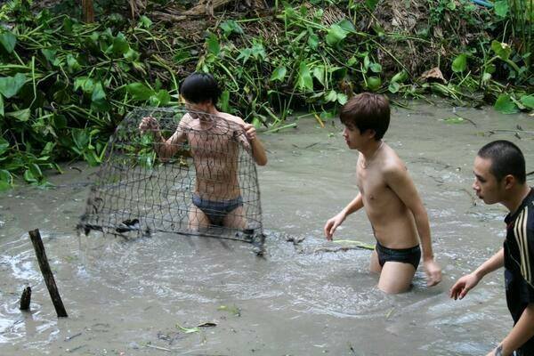 น้ำลายป้าเหนียว