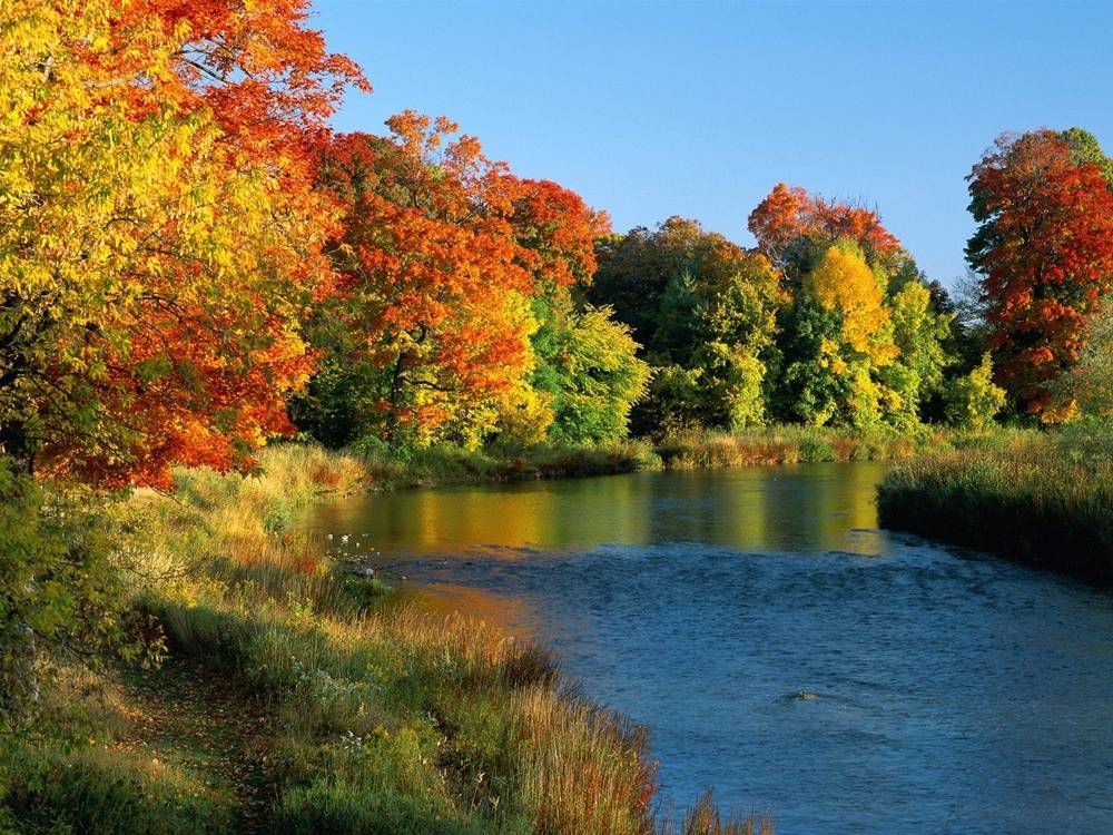 Season-(Spring-Autumn)HD-Wallpapers-Backgrounds ภาพพื้นหลัง พักหน้าจอ No.1