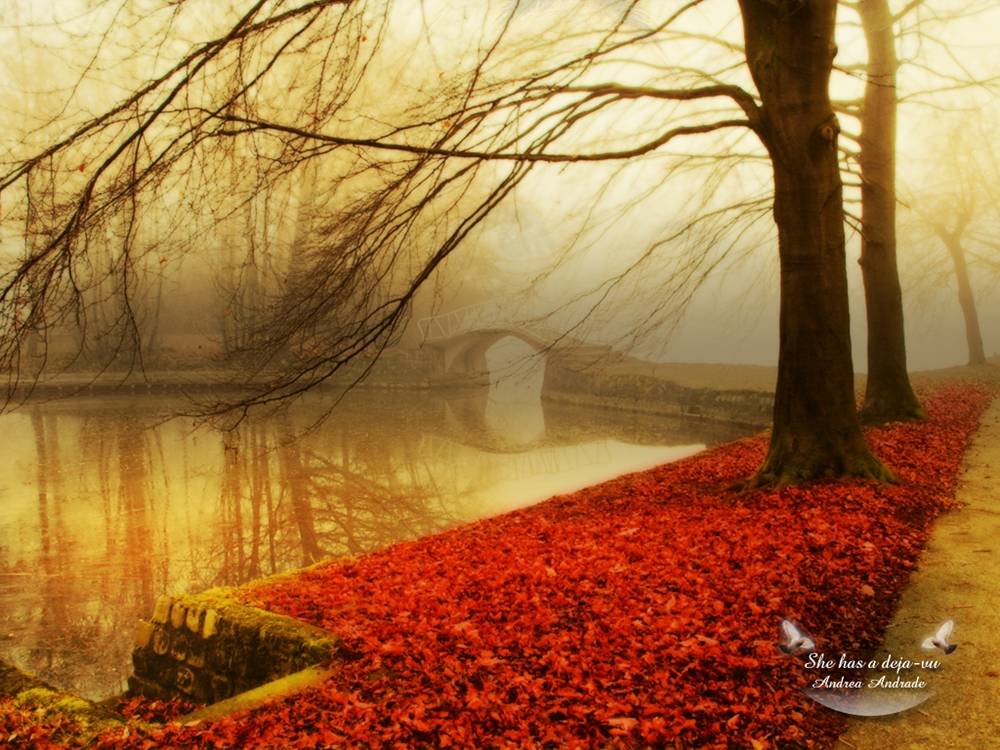 Season-(Spring-Autumn)HD-Wallpapers-Backgrounds ภาพพื้นหลัง พักหน้าจอ No.1