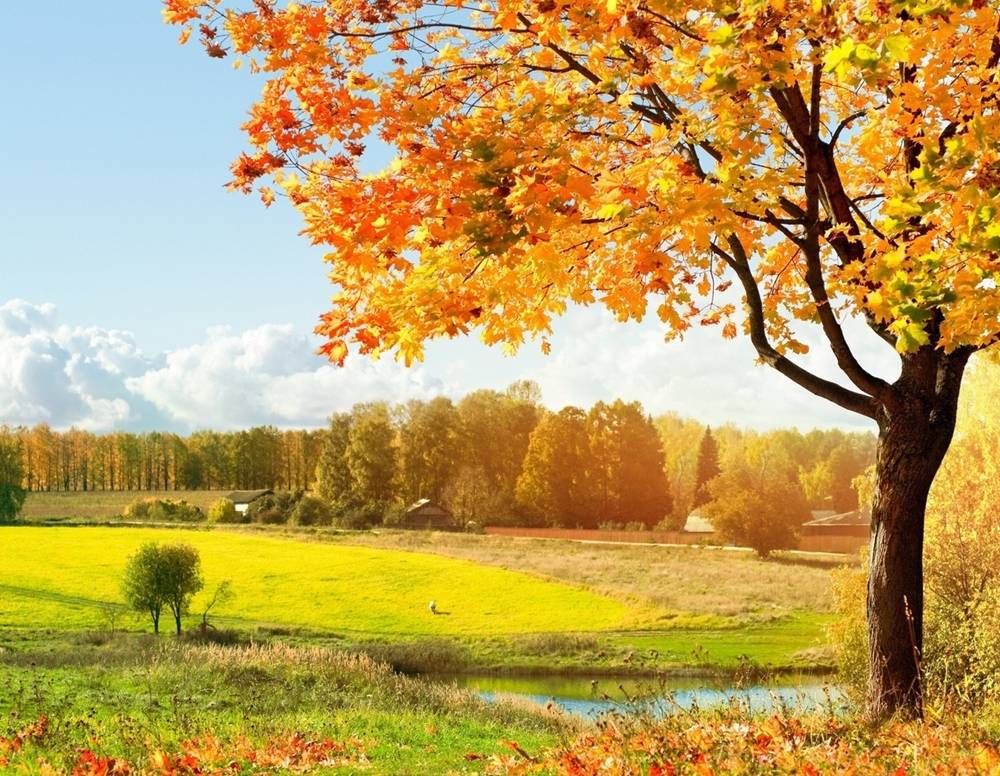 Season-(Spring-Autumn)HD-Wallpapers-Backgrounds ภาพพื้นหลัง พักหน้าจอ No.1
