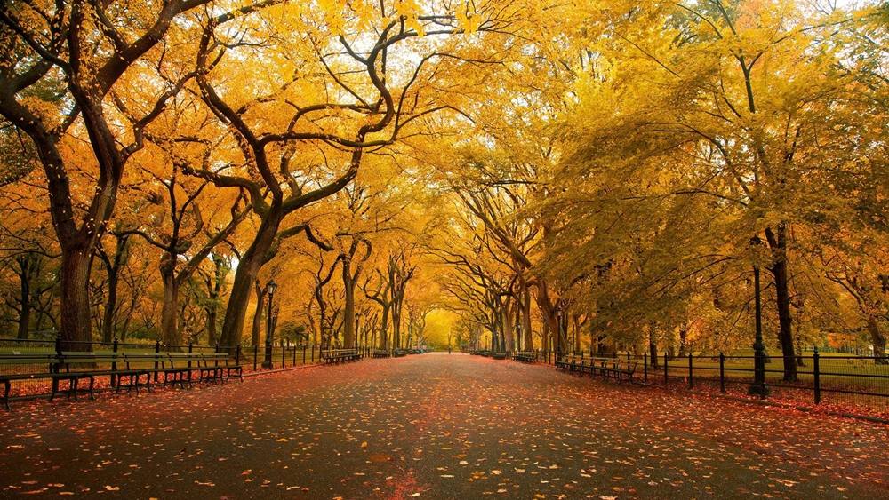 Season-(Spring-Autumn)HD-Wallpapers-Backgrounds ภาพพื้นหลัง พักหน้าจอ No.1