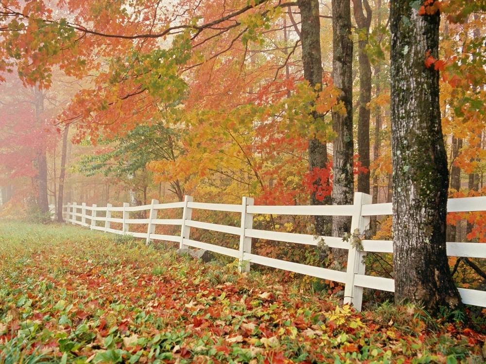 Season-(Spring-Autumn)HD-Wallpapers-Backgrounds ภาพพื้นหลัง พักหน้าจอ No.1