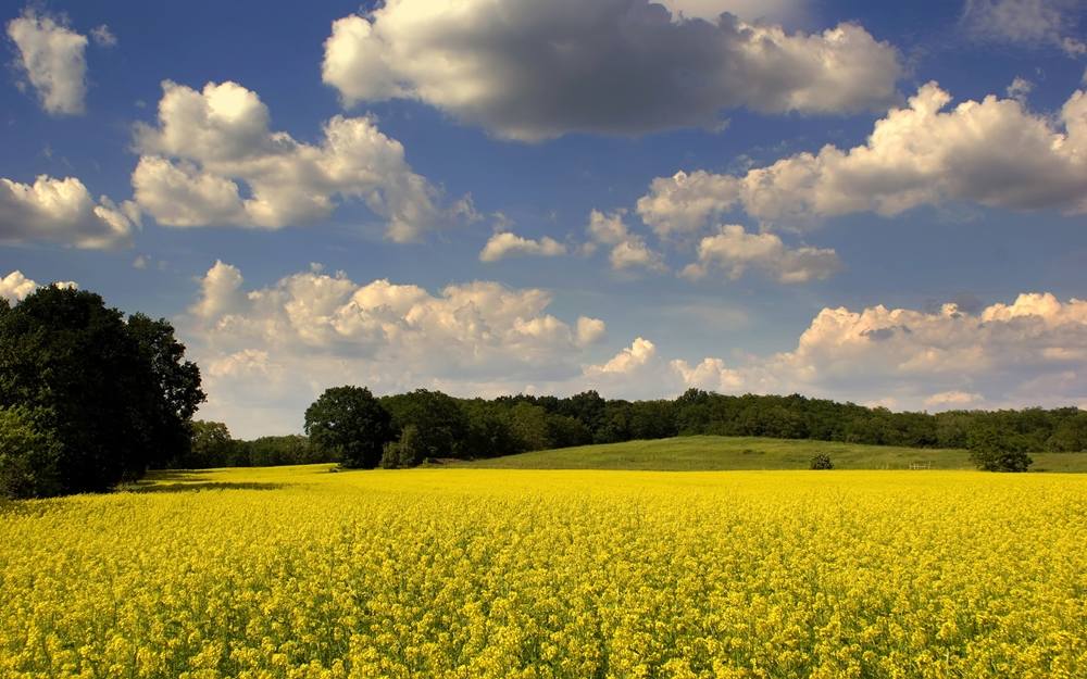 Season-(Spring-Autumn)HD-Wallpapers-Backgrounds ภาพพื้นหลัง พักหน้าจอ No.1