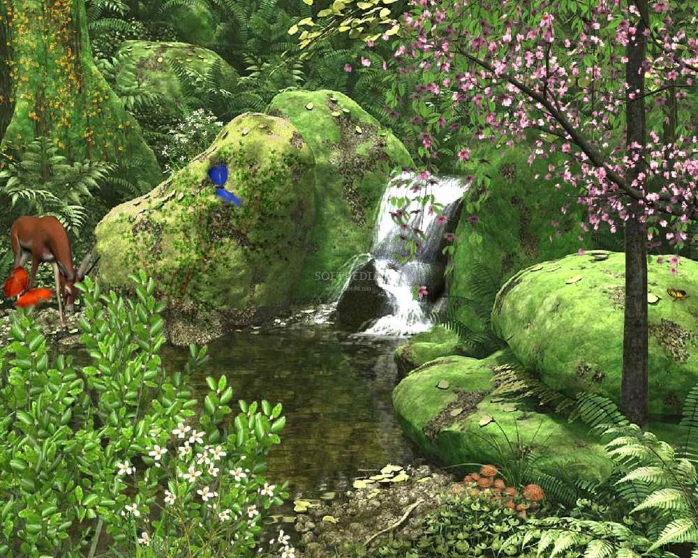 Season-(Spring-Autumn)HD-Wallpapers-Backgrounds ภาพพื้นหลัง พักหน้าจอ No.1