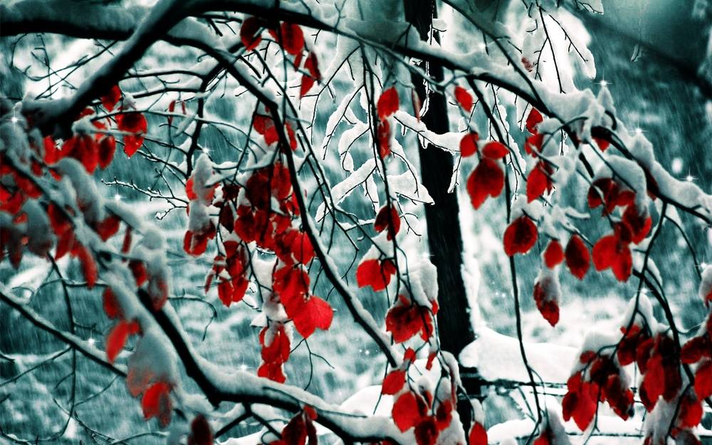 Season-(Spring-Autumn)HD-Wallpapers-Backgrounds ภาพพื้นหลัง พักหน้าจอ No.1