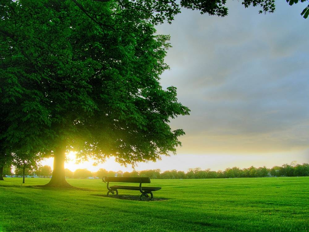Season-(Spring-Autumn)HD-Wallpapers-Backgrounds ภาพพื้นหลัง พักหน้าจอ No.1
