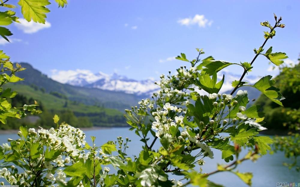 Season-(Spring-Autumn)HD-Wallpapers-Backgrounds ภาพพื้นหลัง พักหน้าจอ No.2