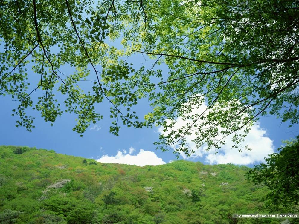 Season-(Spring-Autumn)HD-Wallpapers-Backgrounds ภาพพื้นหลัง พักหน้าจอ No.2