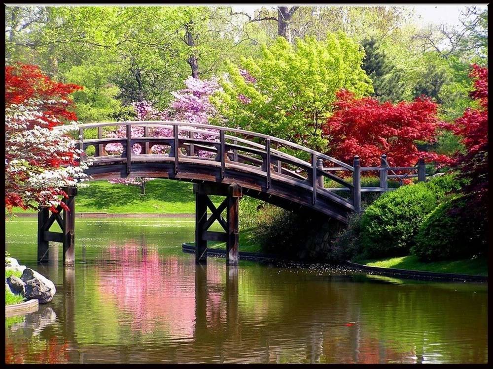 Season-(Spring-Autumn)HD-Wallpapers-Backgrounds ภาพพื้นหลัง พักหน้าจอ No.2