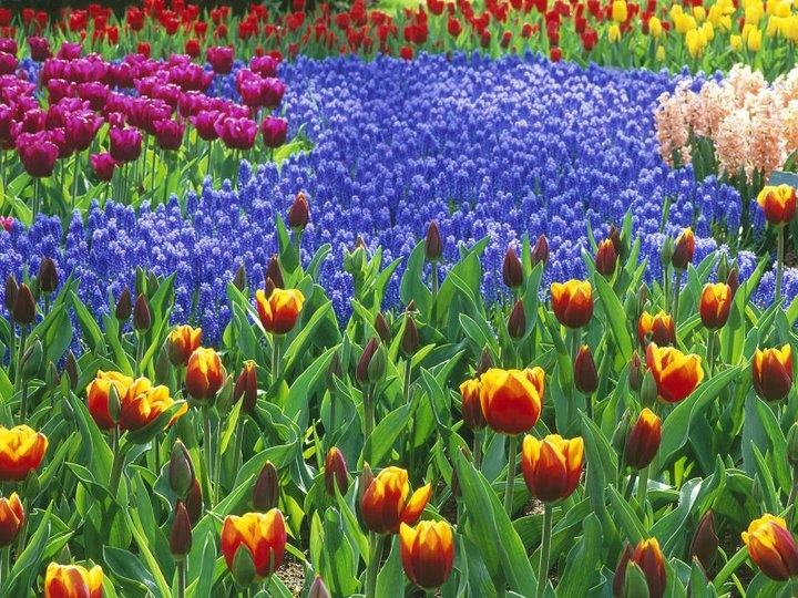 Season-(Spring-Autumn)HD-Wallpapers-Backgrounds ภาพพื้นหลัง พักหน้าจอ No.2