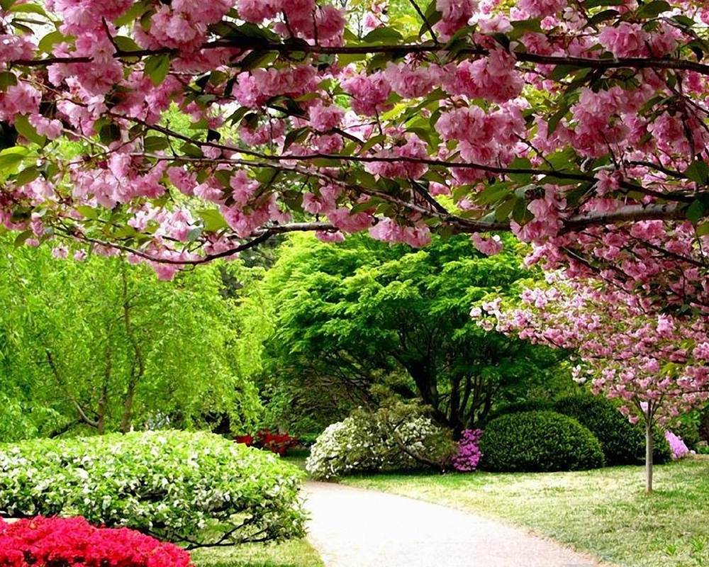 Season-(Spring-Autumn)HD-Wallpapers-Backgrounds ภาพพื้นหลัง พักหน้าจอ No.2
