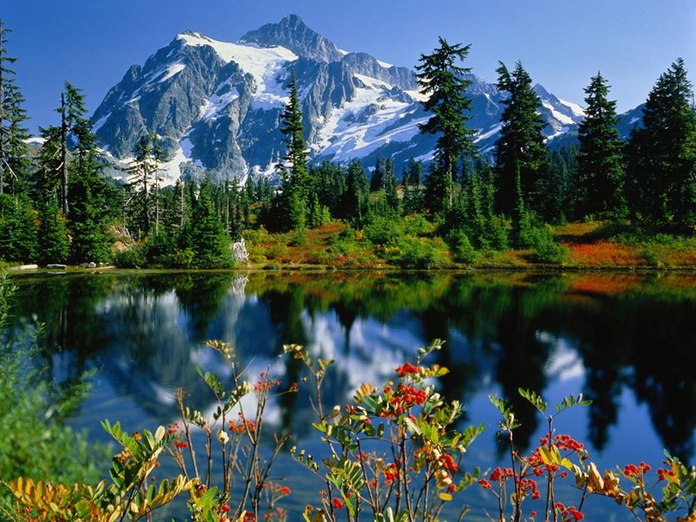 Season-(Spring-Autumn)HD-Wallpapers-Backgrounds ภาพพื้นหลัง พักหน้าจอ No.2