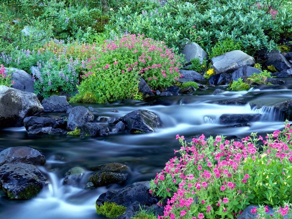 Season-(Spring-Autumn)HD-Wallpapers-Backgrounds ภาพพื้นหลัง พักหน้าจอ No.2