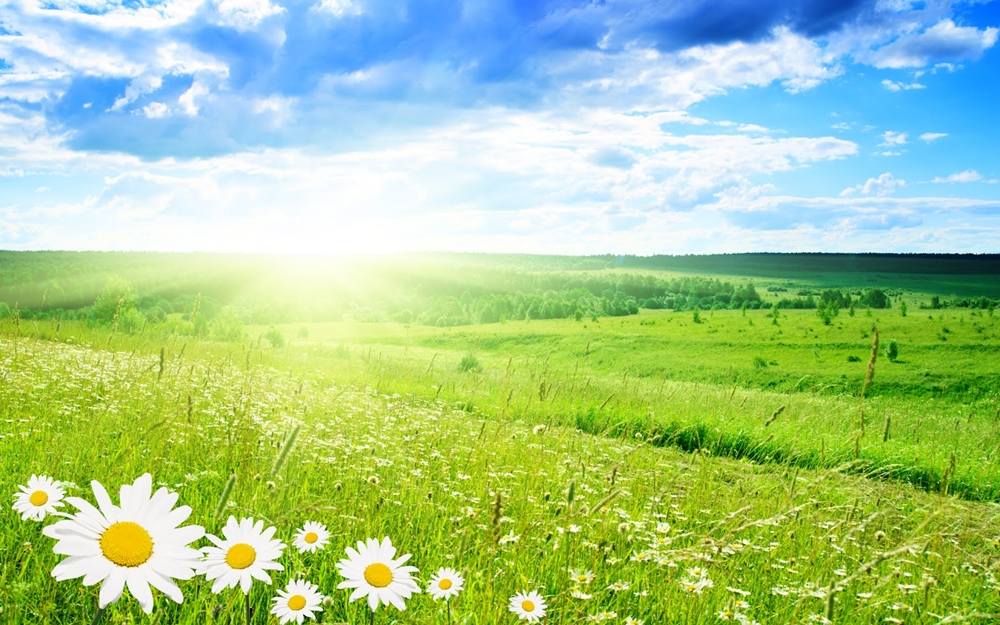 Season-(Spring-Autumn)HD-Wallpapers-Backgrounds ภาพพื้นหลัง พักหน้าจอ No.2