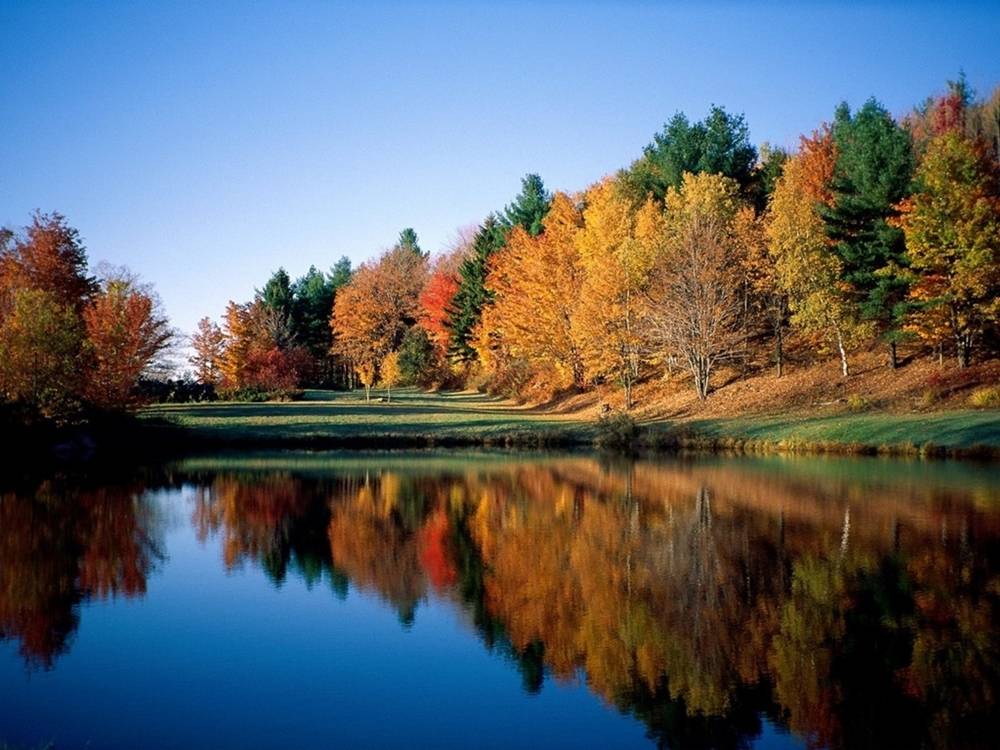 Season-(Spring-Autumn)HD-Wallpapers-Backgrounds ภาพพื้นหลัง พักหน้าจอ No.2