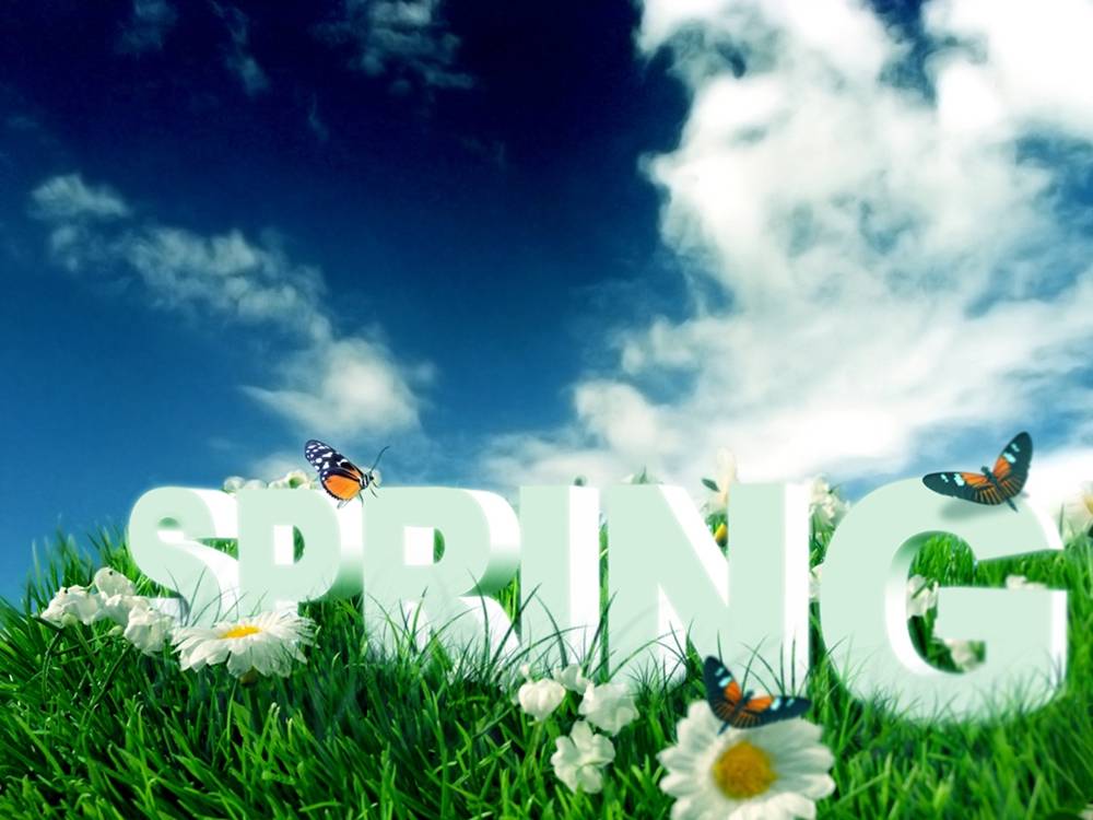 Season-(Spring-Autumn)HD-Wallpapers-Backgrounds ภาพพื้นหลัง พักหน้าจอ No.2