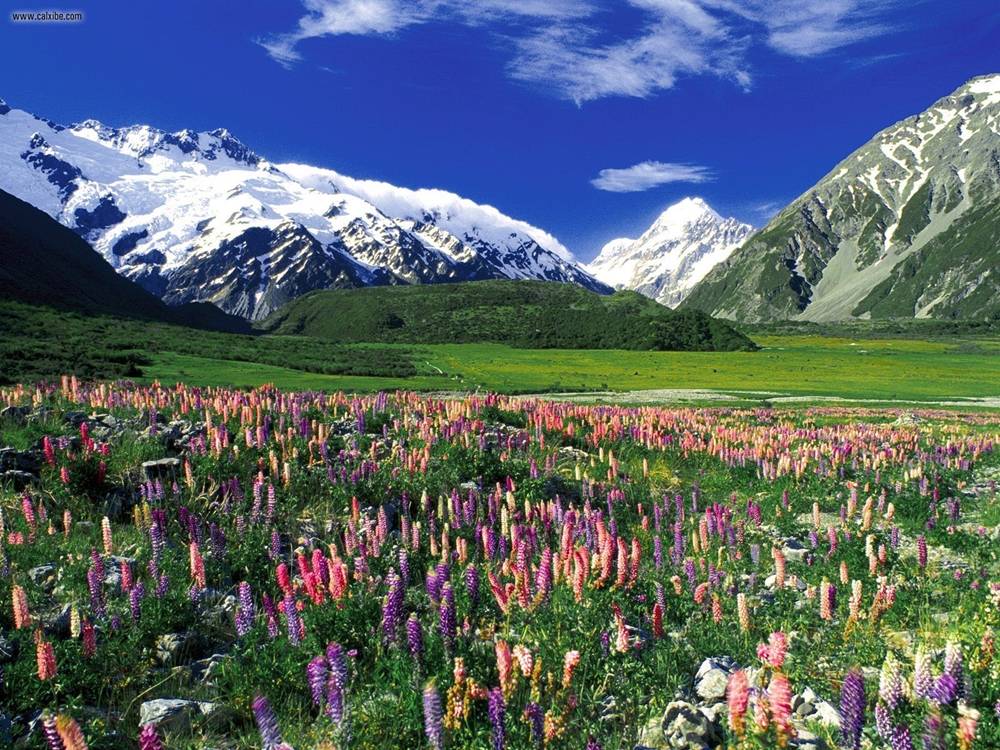 Season-(Spring-Autumn)HD-Wallpapers-Backgrounds ภาพพื้นหลัง พักหน้าจอ No.2