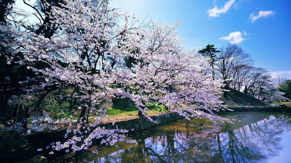 Season-(Spring-Autumn)HD-Wallpapers-Backgrounds ภาพพื้นหลัง พักหน้าจอ No.3