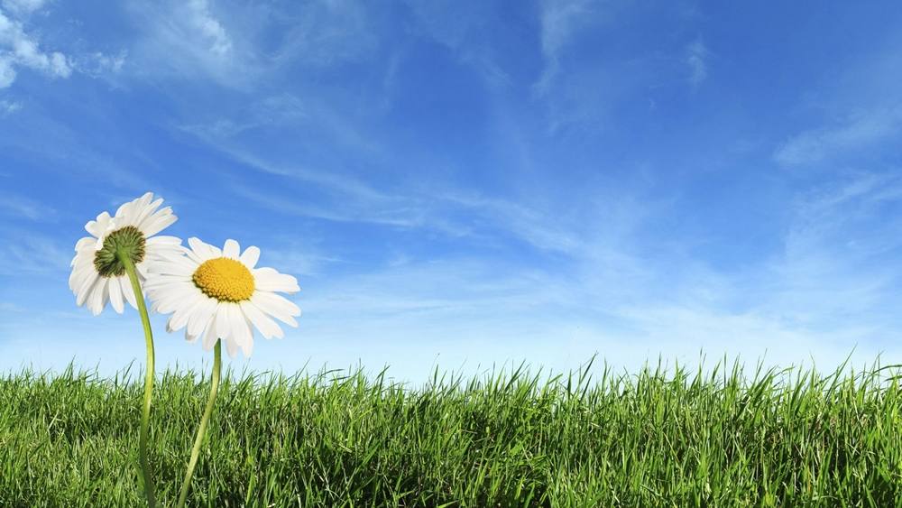 Season-(Spring-Autumn)HD-Wallpapers-Backgrounds ภาพพื้นหลัง พักหน้าจอ No.3