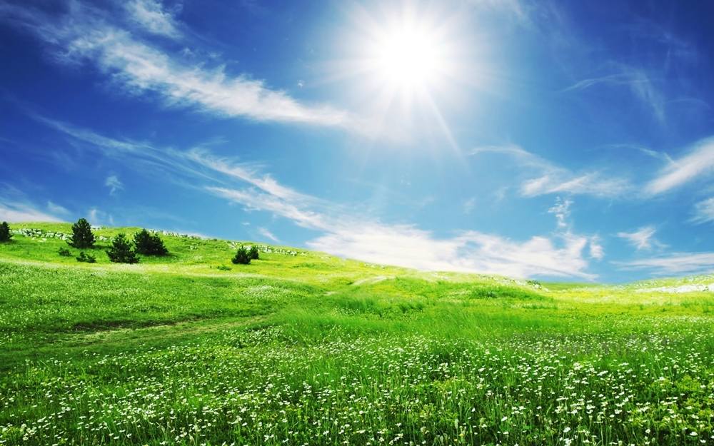 Season-(Spring-Autumn)HD-Wallpapers-Backgrounds ภาพพื้นหลัง พักหน้าจอ No.3