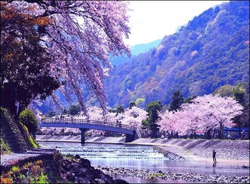 Season-(Spring-Autumn)HD-Wallpapers-Backgrounds ภาพพื้นหลัง พักหน้าจอ No.3