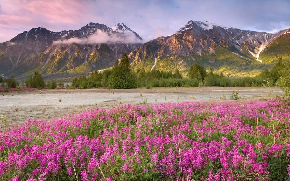 Season-(Spring-Autumn)HD-Wallpapers-Backgrounds ภาพพื้นหลัง พักหน้าจอ No.3