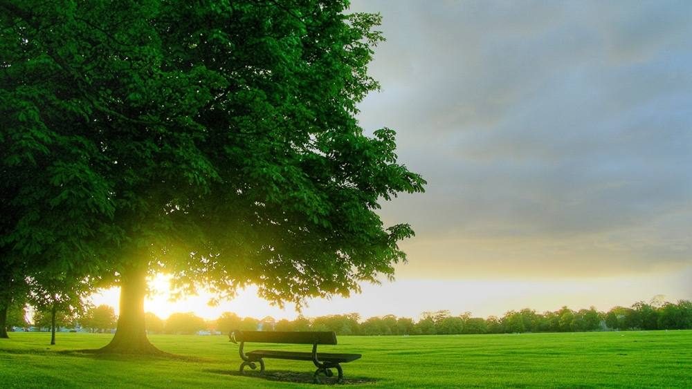Season-(Spring-Autumn)HD-Wallpapers-Backgrounds ภาพพื้นหลัง พักหน้าจอ No.3