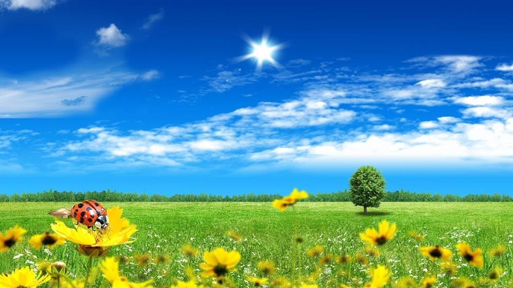 Season-(Spring-Autumn)HD-Wallpapers-Backgrounds ภาพพื้นหลัง พักหน้าจอ No.3