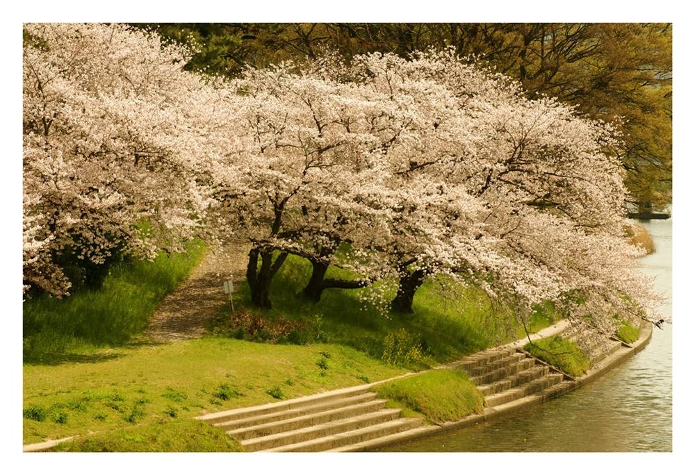 Season-(Spring-Autumn)HD-Wallpapers-Backgrounds ภาพพื้นหลัง พักหน้าจอ No.4