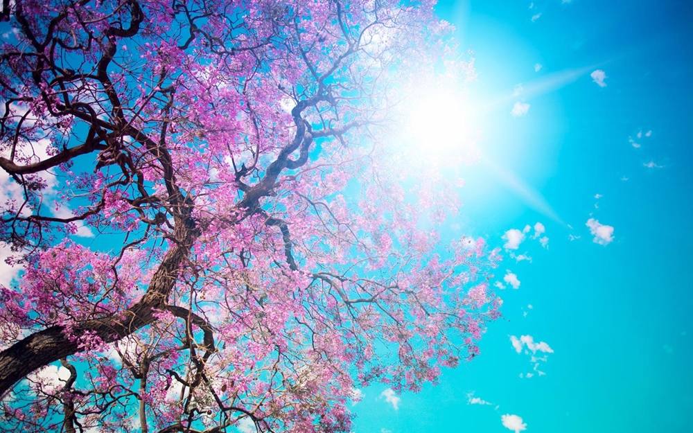 Season-(Spring-Autumn)HD-Wallpapers-Backgrounds ภาพพื้นหลัง พักหน้าจอ No.4