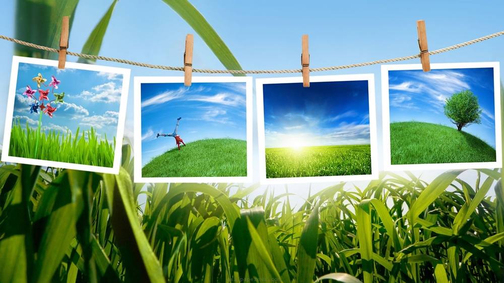 Season-(Spring-Autumn)HD-Wallpapers-Backgrounds ภาพพื้นหลัง พักหน้าจอ No.4